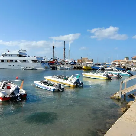 فيلة Camelia By بييا